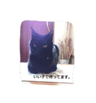 blackcat aloha（個別スタンプ：3）