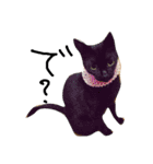blackcat aloha（個別スタンプ：10）