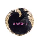 blackcat aloha（個別スタンプ：16）