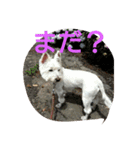 wanwanparadise with marin（個別スタンプ：8）