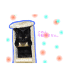 のんびり黒ネコの1日（個別スタンプ：4）