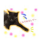 のんびり黒ネコの1日（個別スタンプ：13）