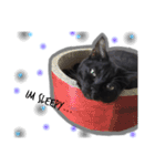 のんびり黒ネコの1日（個別スタンプ：14）