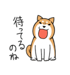 柴犬どんぐり（個別スタンプ：8）