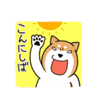 柴犬どんぐり（個別スタンプ：14）