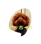 カブちゃんスタンプ（個別スタンプ：1）