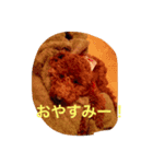 カブちゃんスタンプ（個別スタンプ：3）