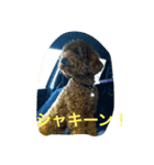 カブちゃんスタンプ（個別スタンプ：4）