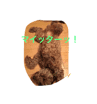 カブちゃんスタンプ（個別スタンプ：7）