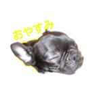 Wankonokao（個別スタンプ：5）