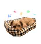 ちょちょやま やまちょ（個別スタンプ：7）