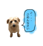ちょちょやま やまちょ（個別スタンプ：12）