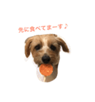 ちょちょやま やまちょ（個別スタンプ：20）