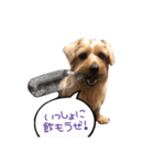 ちょちょやま やまちょ（個別スタンプ：24）