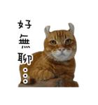 Cats in loving（個別スタンプ：4）
