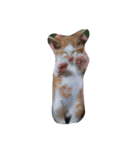 我が家の癒し猫（個別スタンプ：2）
