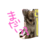凜との日々（個別スタンプ：4）