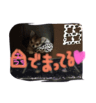 凜との日々（個別スタンプ：7）