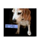 使えるかもな可愛い動物のスタンプ（個別スタンプ：8）