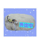 使えるかもな可愛い動物のスタンプ（個別スタンプ：12）