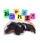 ダックスフントの想い（個別スタンプ：12）