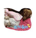 ここしょこだっち（個別スタンプ：9）