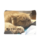 ブサ可愛エキゾチック（個別スタンプ：8）