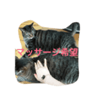 猫のめーちゃん（個別スタンプ：4）