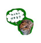 ナリタの日常 おまけ付き（個別スタンプ：4）