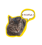 ナリタの日常 おまけ付き（個別スタンプ：7）
