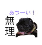 ひろちゃん特集！（個別スタンプ：5）
