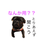 ひろちゃん特集！（個別スタンプ：6）