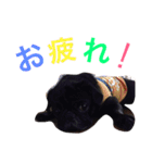 ひろちゃん特集！（個別スタンプ：7）