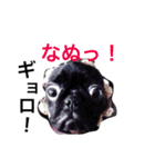 ひろちゃん特集！（個別スタンプ：8）