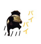 ひろちゃん特集！（個別スタンプ：9）