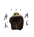 ひろちゃん特集！（個別スタンプ：12）