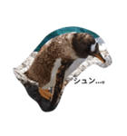 ぺんスタ（個別スタンプ：2）