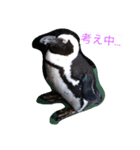 ぺんスタ（個別スタンプ：8）