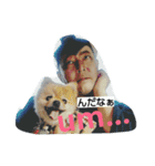 ポメラニアンシンちゃん3（個別スタンプ：4）