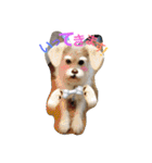 動物だいすき（個別スタンプ：3）