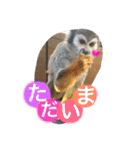動物だいすき（個別スタンプ：4）
