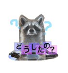 動物だいすき（個別スタンプ：8）