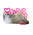 動物だいすき（個別スタンプ：21）