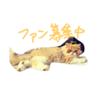 ばたーかっぷ（個別スタンプ：1）
