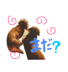 cocomimi2（個別スタンプ：13）