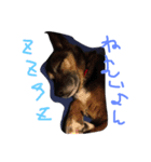 ふくちゃんの日常（個別スタンプ：5）