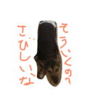 ふくちゃんの日常（個別スタンプ：8）