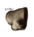 onemuneco（個別スタンプ：7）