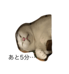 onemuneco（個別スタンプ：8）
