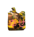 ウサギのくーちゃんスタンプ（個別スタンプ：12）